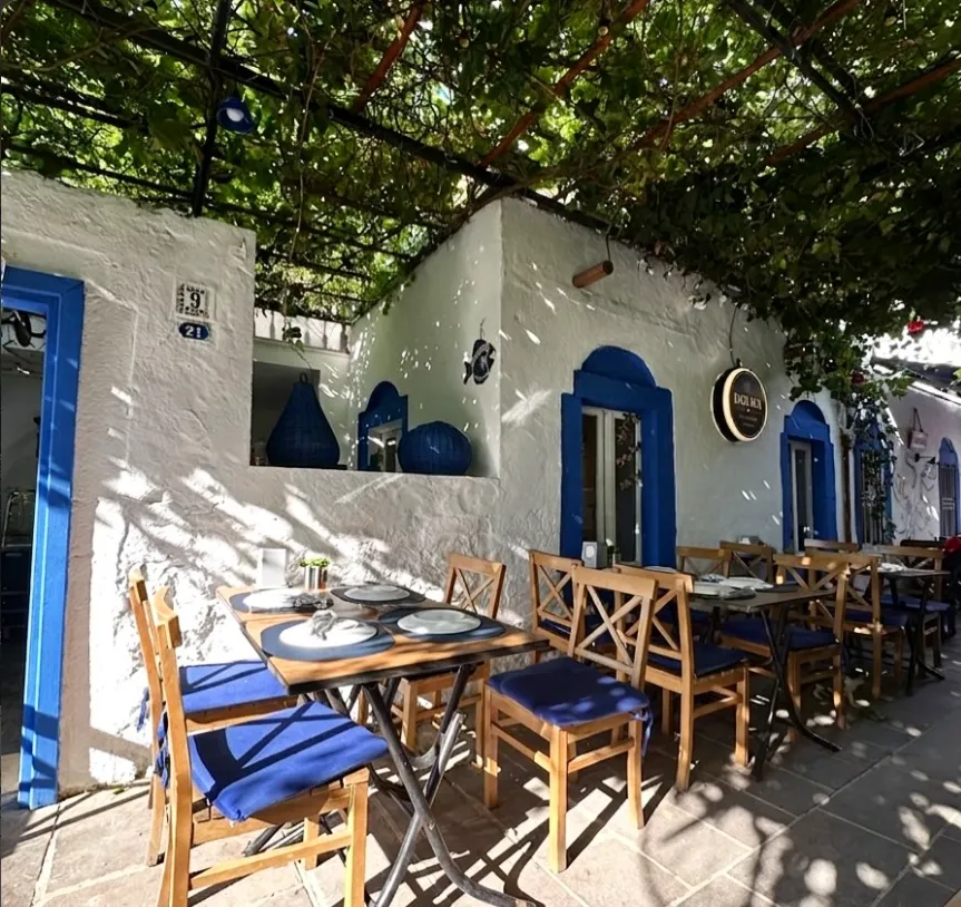 Dolma’nın beyaz duvarlı, mavi çerçeveli, asma gölgeli Bodrum terası